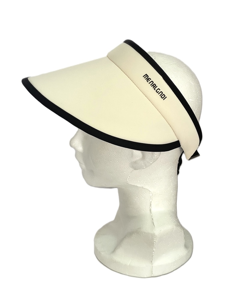 Visera
