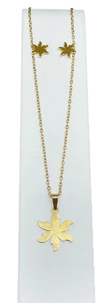 Set de collar y aretes dorado de acero inoxidable
