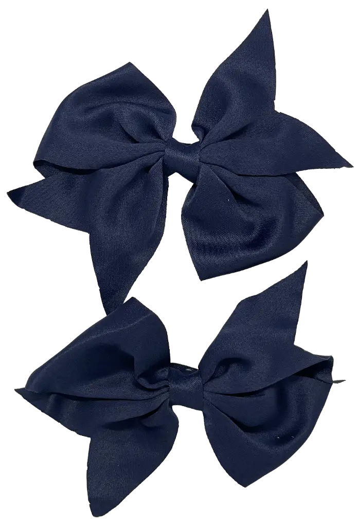 Set de gancho de moña 