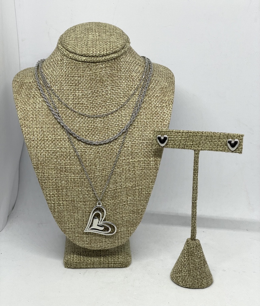 Juego de collar y aretes en plateado