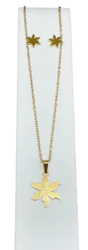 [65417] Set de collar y aretes dorado de acero inoxidable